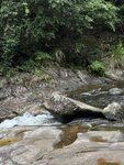 IMG_8121