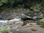 IMG_8122