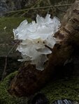 IMG_8126
