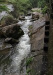 IMG_8133