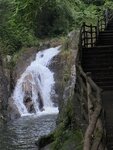 IMG_8137