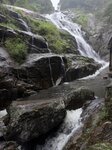 IMG_8140