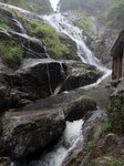 IMG_8141