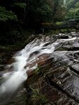 IMG_8163