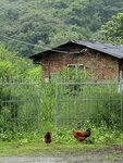 IMG_8168