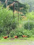 IMG_8169