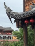 IMG_8182