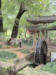 IMG_8289
