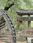 IMG_8290