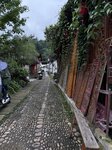 IMG_8293
