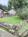 IMG_8294
