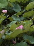 IMG_8295
