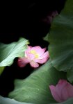 IMG_8300