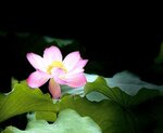 IMG_8301