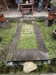 IMG_8310
