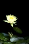 IMG_8311