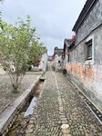 IMG_8317