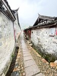 IMG_8323