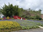 IMG_8339