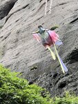 IMG_8342