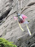 IMG_8343