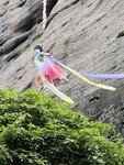 IMG_8345