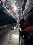 IMG_8359