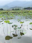 IMG_8395