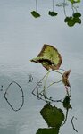 IMG_8396