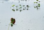 IMG_8398