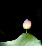 IMG_8400