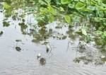 IMG_8405