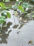 IMG_8407