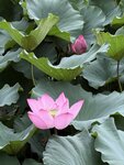 IMG_8421