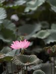 IMG_8427