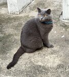 IMG_8521