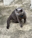 IMG_8522