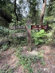IMG_8526