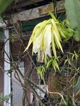 IMG_8633