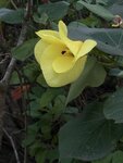 IMG_8650