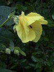 IMG_8656