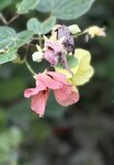 IMG_8658