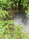 IMG_8660