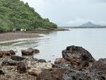 IMG_8681