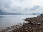 IMG_8684