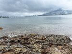 IMG_8685