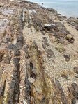 IMG_8689