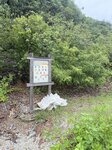 IMG_8692