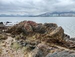 IMG_8696