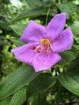 IMG_8702
